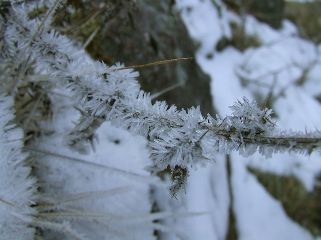 Laghi del Venerocolo (7)